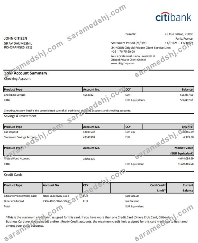 France Citibank bank statement template in .xls and .pdf file format
